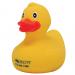 Rubber Duck