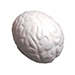 Brain Stress Reliever