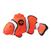 Clownfish Stress Reliever