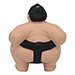 Sumo Wrestler Stress Reliever