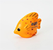 Tropical Fish