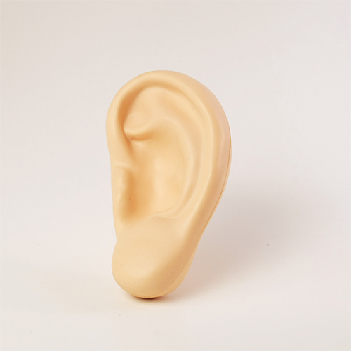 Ear