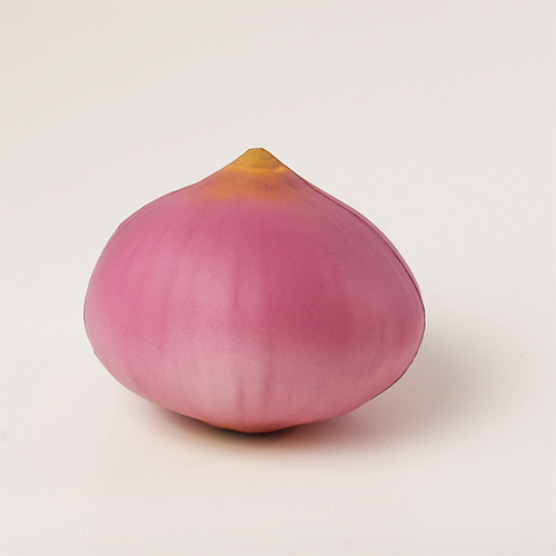 Onion