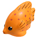 TROPICAL FISH