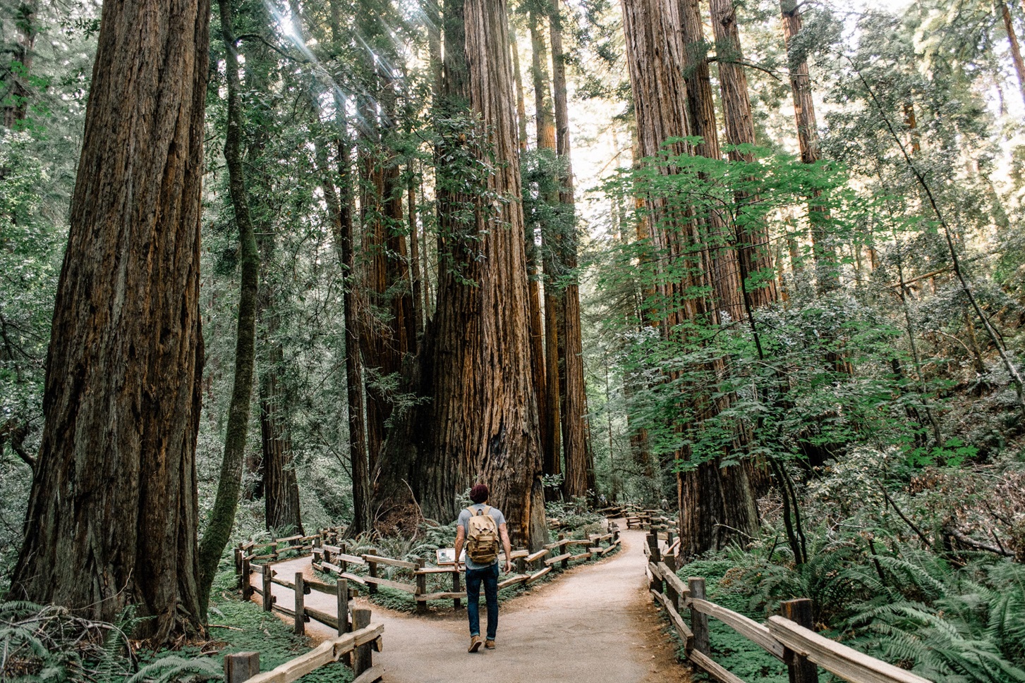 Immersing Yourself in Nature for Stress Relief